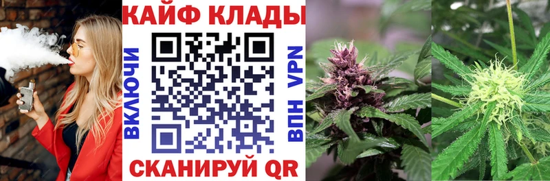 Где найти наркотики Приморск ГАШИШ  Псилоцибиновые грибы  СОЛЬ  Мефедрон  Каннабис  Амфетамин 