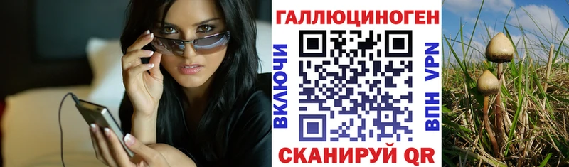 кракен сайт  Приморск  Псилоцибиновые грибы GOLDEN TEACHER  купить  цена 